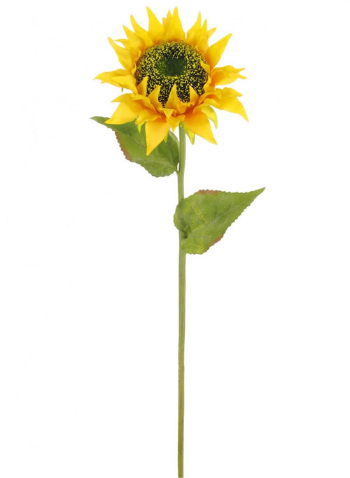 Sunflower Stem (large)