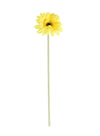 Jemima Gerbera Stem (small)