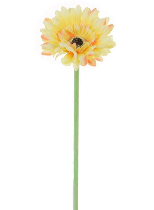 Single Gerbera (small)