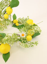 Lemon Garland No:01