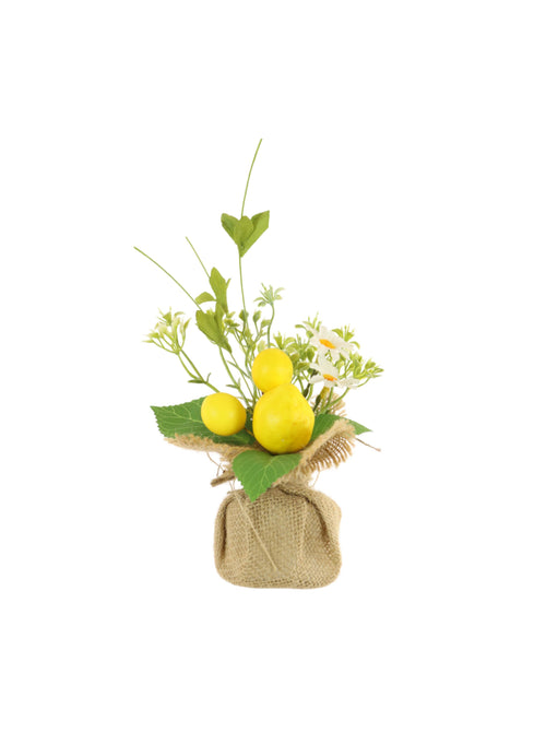 Lemon Arrangement No:01