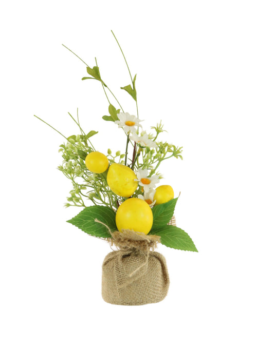 Lemon Arrangement No:02