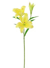 Asiatic Lily (large)