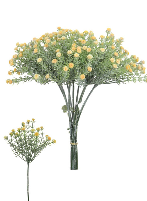 Wild Gypsophila