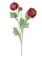 Ranunculus Spray