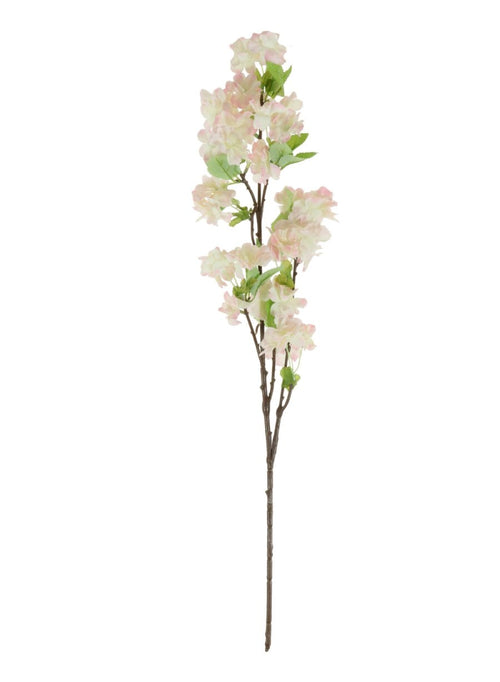 Cherry Blossom Stem