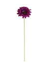 Jemima Gerbera Stem (small)