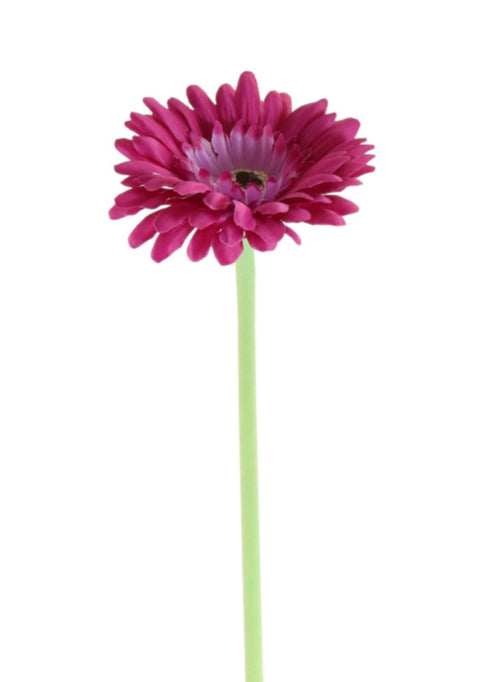 Single Gerbera (small)