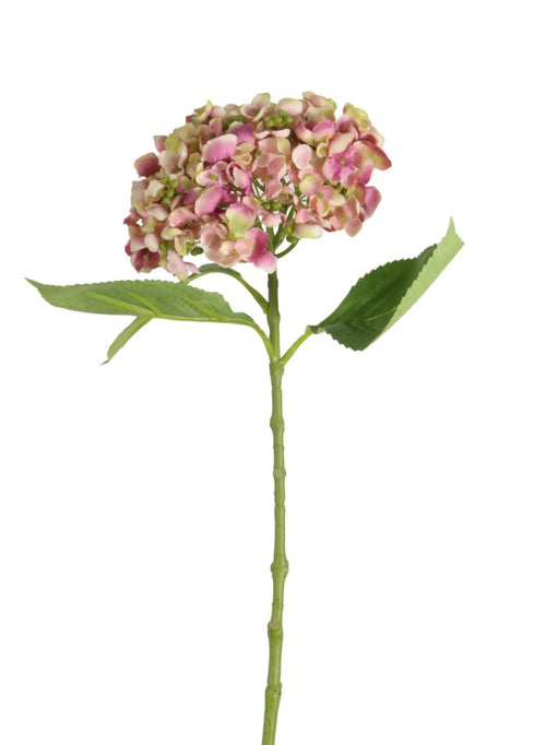 Imperial Hydrangea Stem