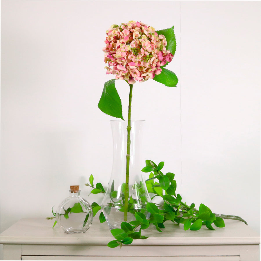 Imperial Hydrangea Stem