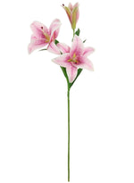 Asiatic Lily (large)