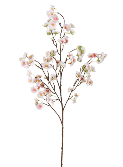 Plum Blossom