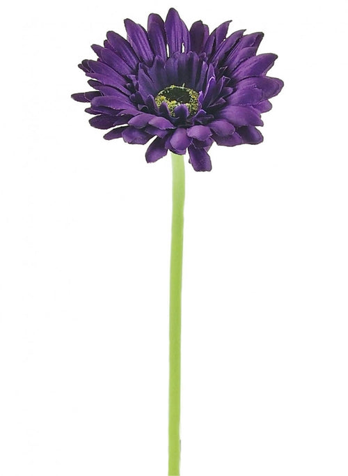 Single Gerbera (small)