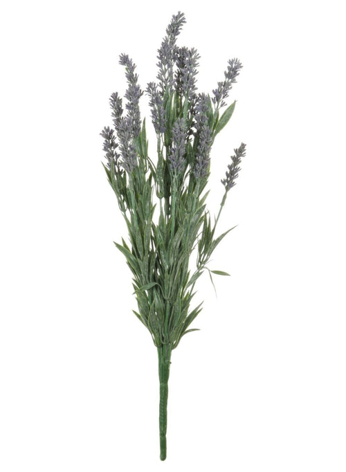 Lavender Bunch (large)