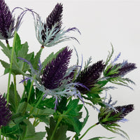 Eryngium Spray