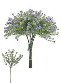 Wild Gypsophila