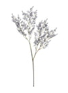 Limonium Spray