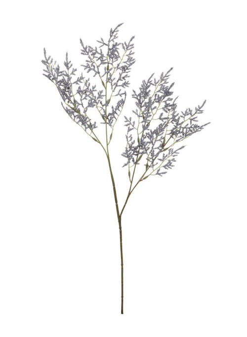 Limonium Spray