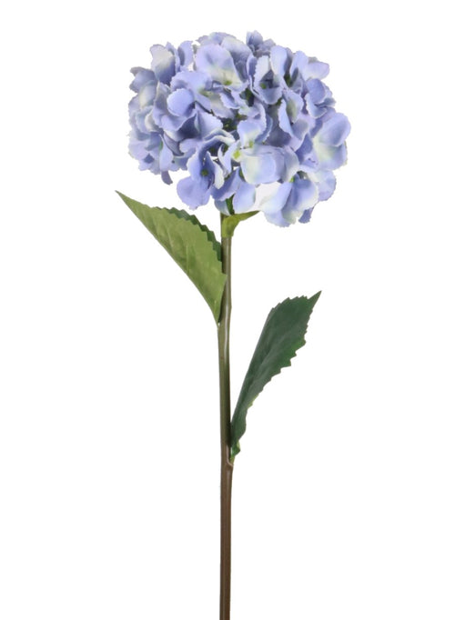 Mophead Hydrangea (large)