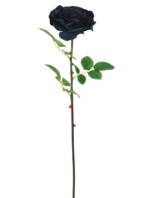 Tudor Rose (long Stem)