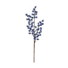 Seasonal Blueberry Stem