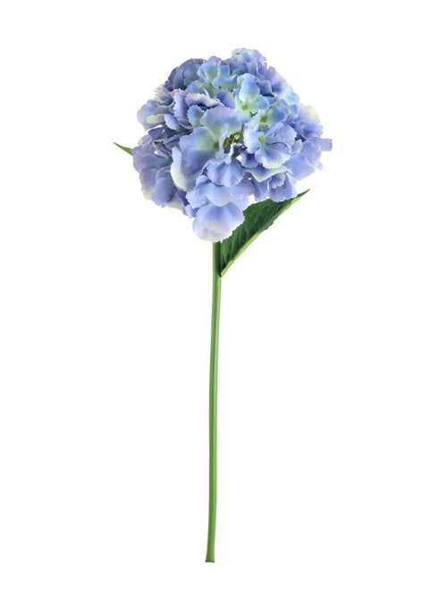 French Hydrangea (short Stem)