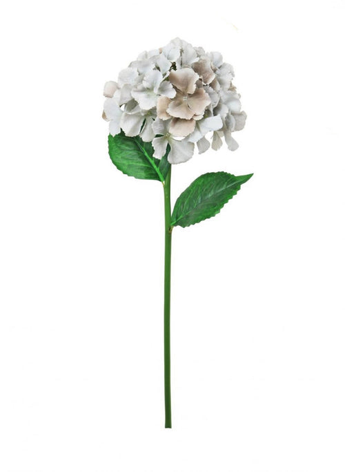 French Hydrangea (short Stem)