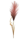 Single Pampas Stem