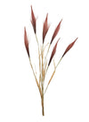 Reed Pampas Spray