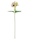 Long Stem Daisy Sprig