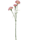 Carnation Stem