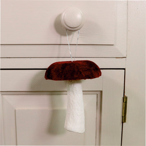 Velvet Hanging Mushroom