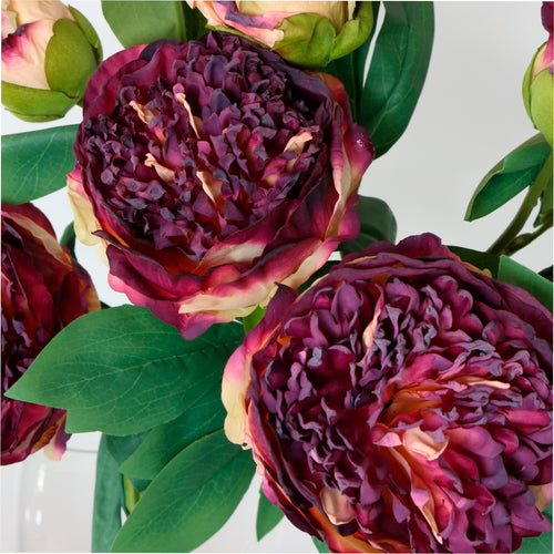 Dried Touch Ruffled Peony