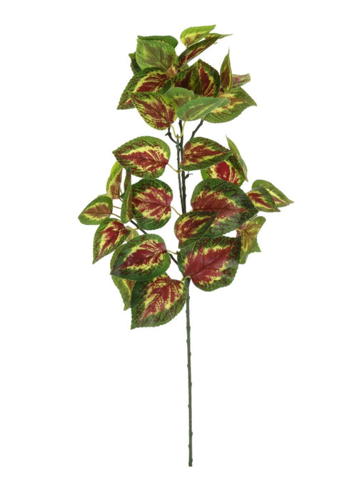 Printed Coleus Orb Leaf Spray (large)