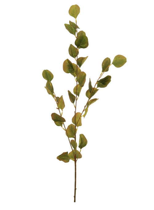 Silver Dollar Eucalyptus Stem (small)