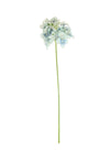 Hydrangea (thin Stem)