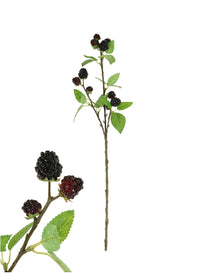 Blackberry Spray