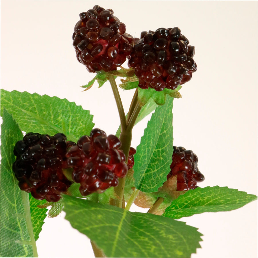 Blackberry Spray