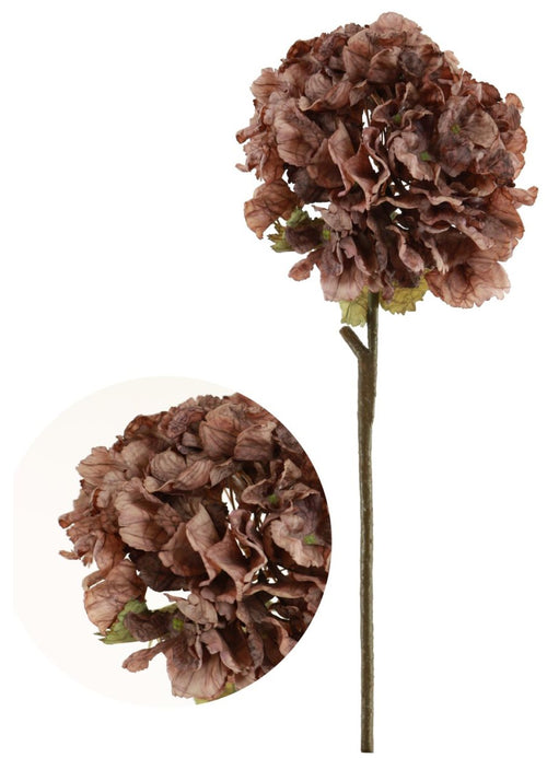 Dried Touch Ruffled Hydrangea