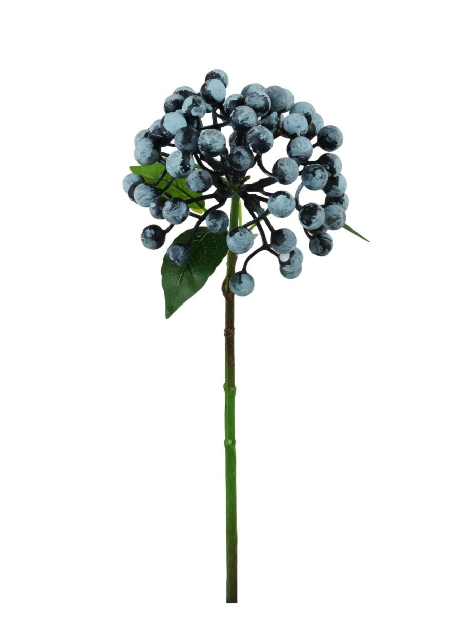 Ball Berry Stem