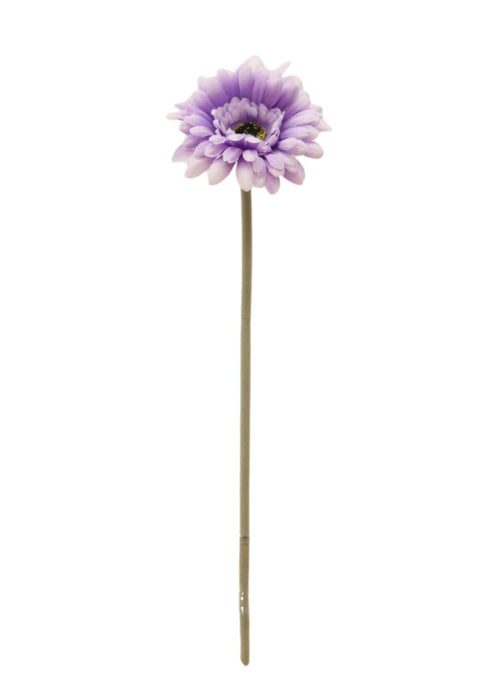 Jemima Gerbera Stem (small)