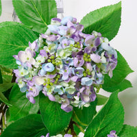 Imperial Hydrangea Spray