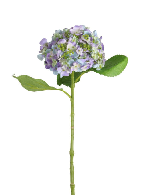 Imperial Hydrangea Stem