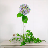 Imperial Hydrangea Stem