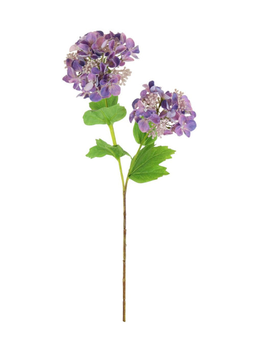 Lace Cap Hydrangea Stem (2 Flower Heads)