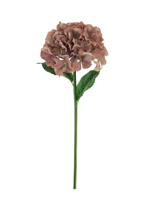 French Hydrangea (short Stem)