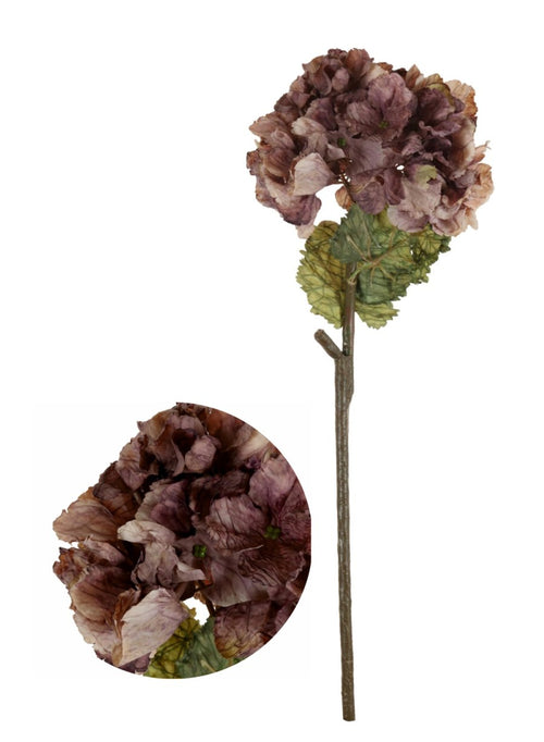 Dried Touch Ruffled Hydrangea