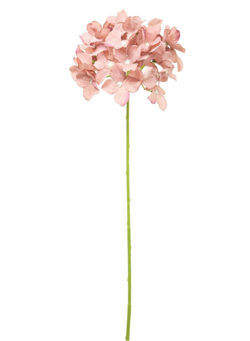 Hydrangea (thin Stem)