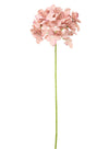 Hydrangea (thin Stem)