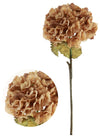 Dried Touch Ruffled Hydrangea